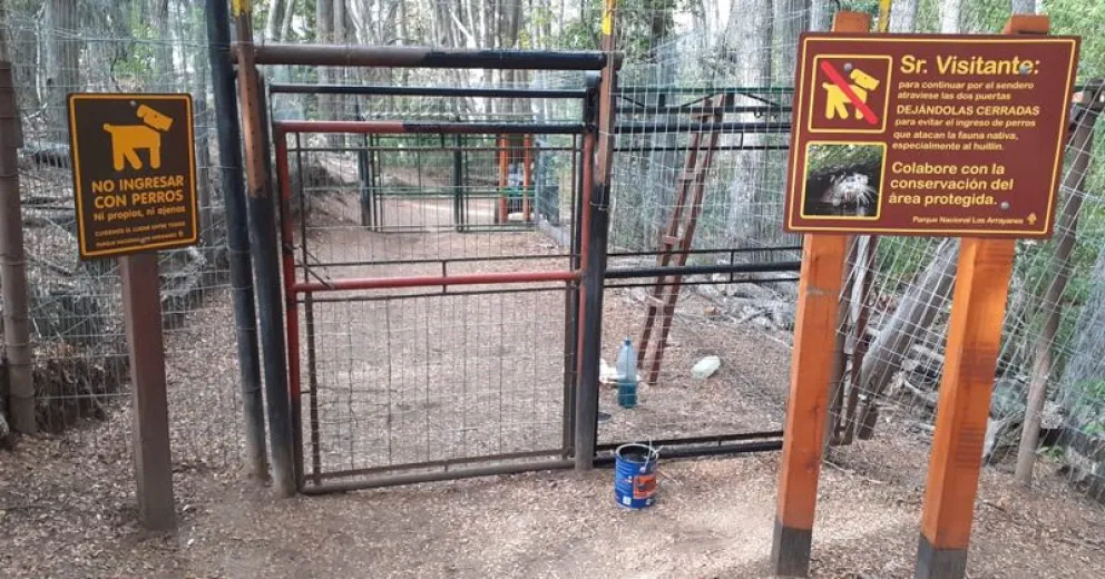 Realizaron tareas para ayudar a cuidar el hábitat del huillín  