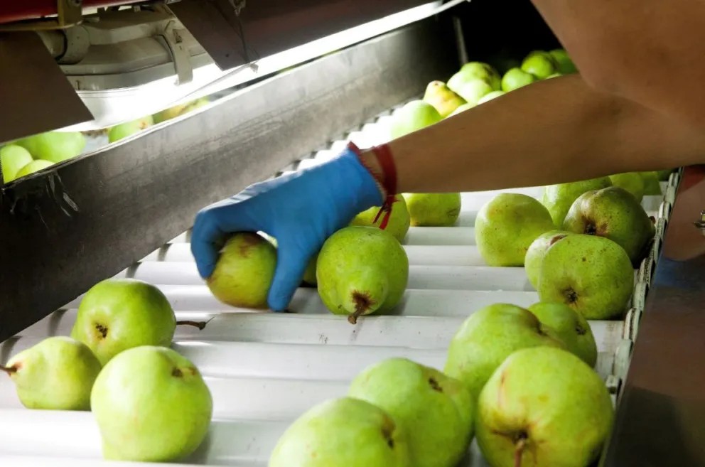 Confirman que habrá arancel de exportación cero para el jugo de pera