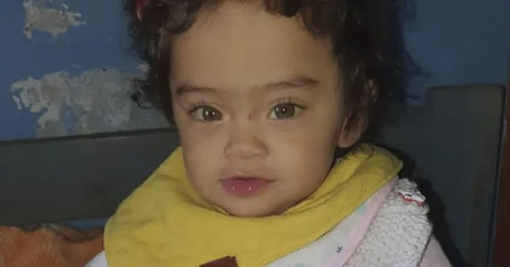 Comenzó a funcionar el hígado de Pía