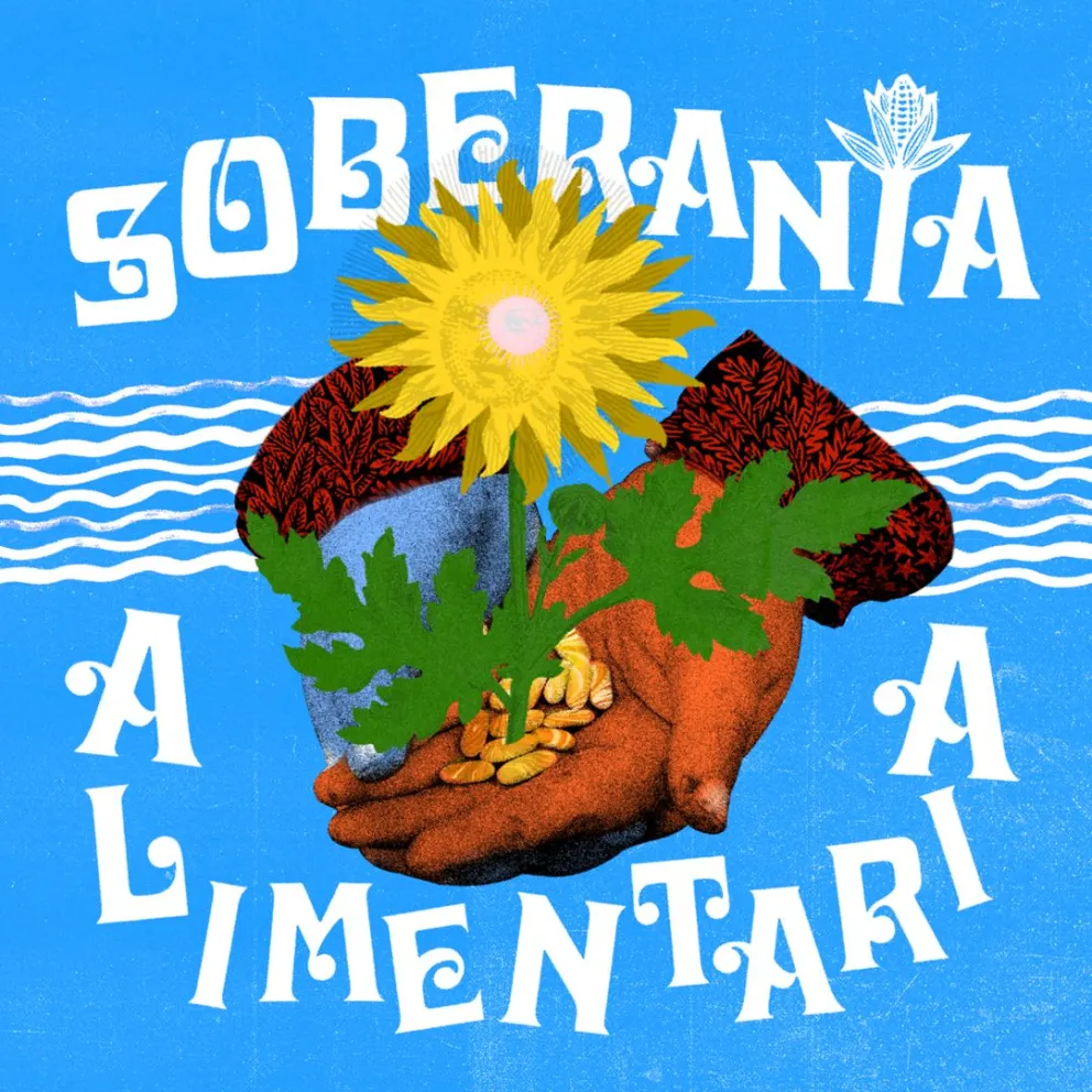 Lanzan Becas Proyecto Ballena a la Investigación Artística