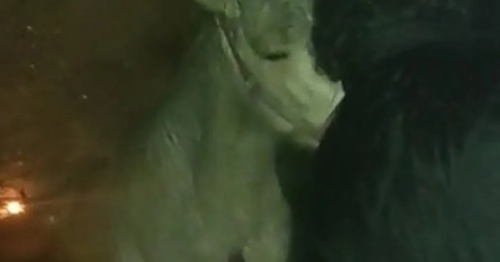 El intendente de El Bolsón pidió “el máximo castigo” para los responsables