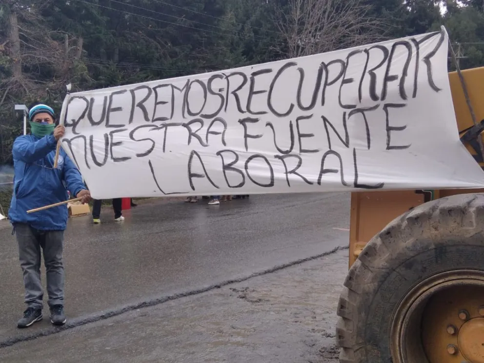 DUT: Abrirá en agosto y despedirá a trabajadores pese a que está prohibido por decreto