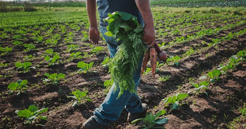  Juan Pablo Acosta: “Queremos la tierra para la producción y erradicar el hambre de nuestro país” 