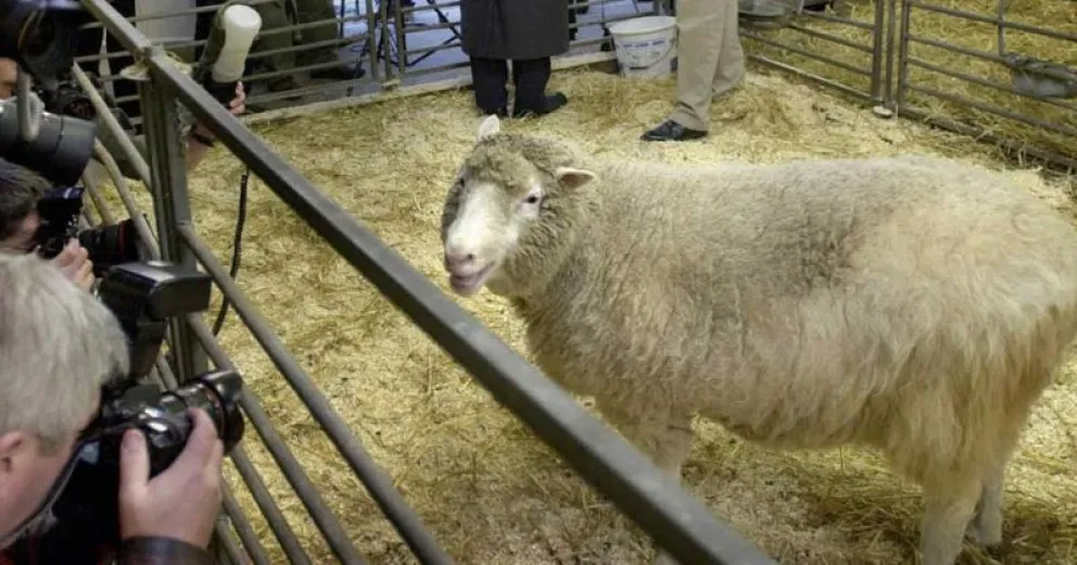 Un licenciado en genética opina de la clonación humana: “Hay fronteras que no se deben pasar”
