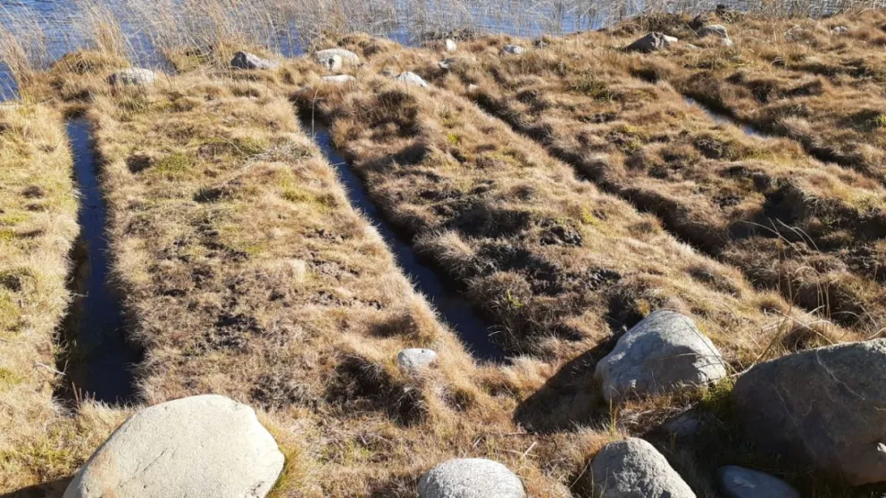 Personal de Áreas Naturales Protegidas quitará las piedras que pusieron vecinos alterando la costa