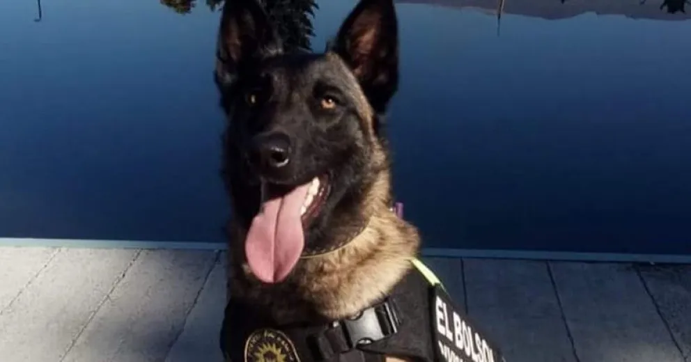 Golpearon a un obrero con un hacha, lo cortaron y robaron herramientas