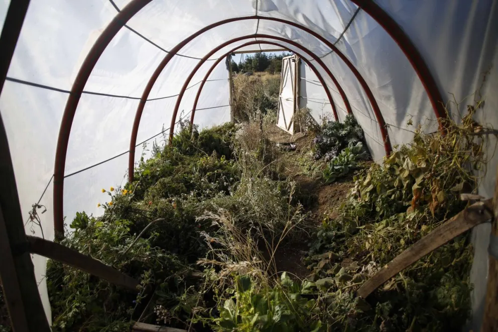 Reflexiones de un referente social que sueña con venderle semillas al INTA