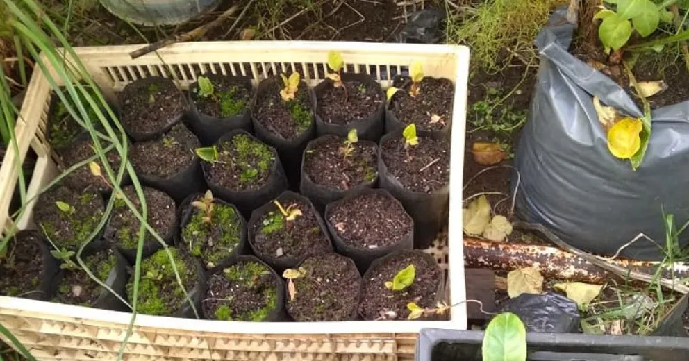 “Todo suelo es político”