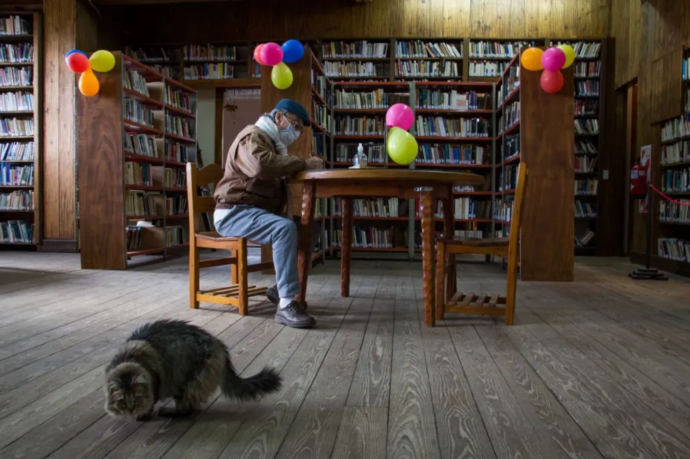Reabrió la sala de lectura de la Biblioteca Sarmiento 
