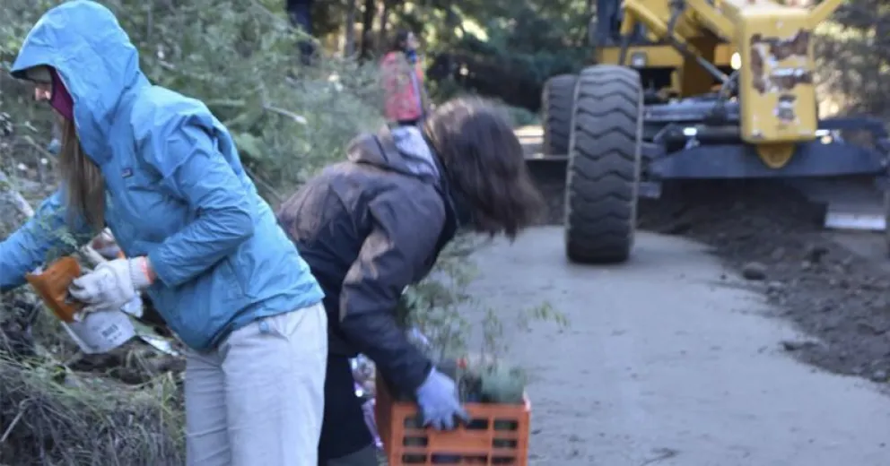 Lograron salvar más de 200 plantines del avance de las máquinas