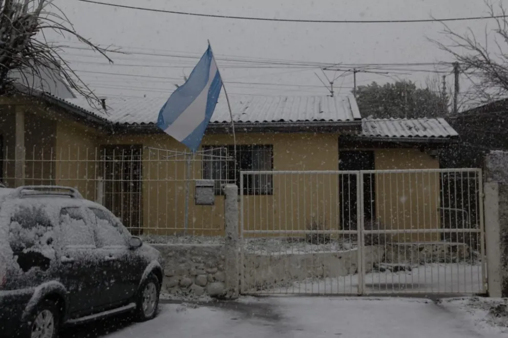 Por fin llegó la nieve