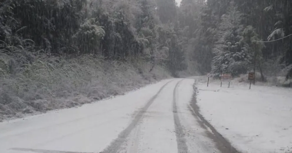 El estado de caminos y rutas