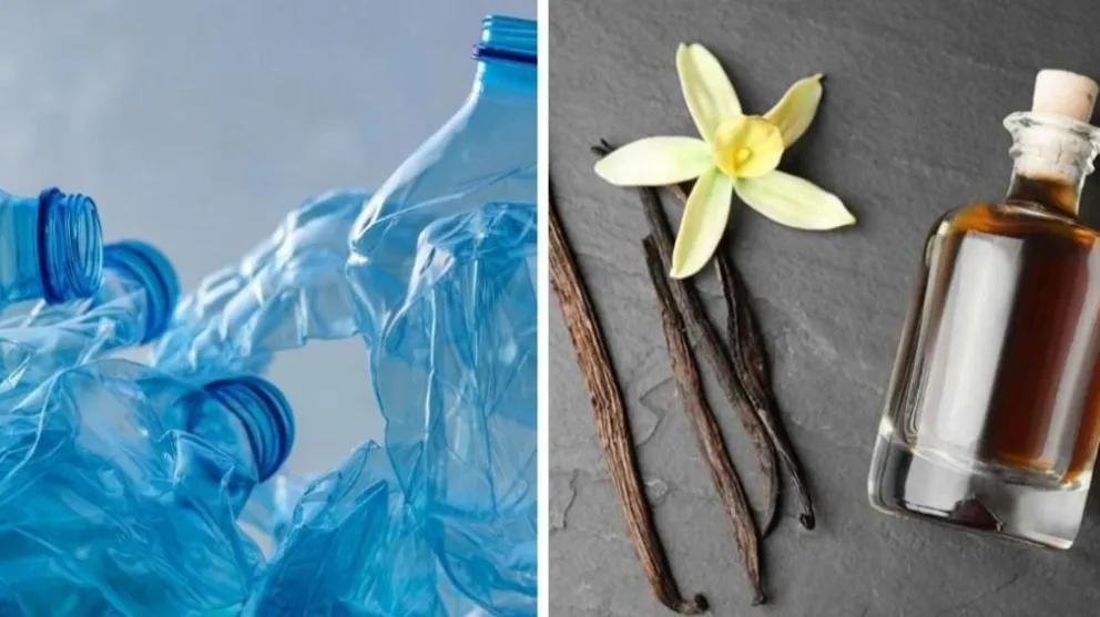Científicos convierten desechos plásticos en saborizante de vainilla