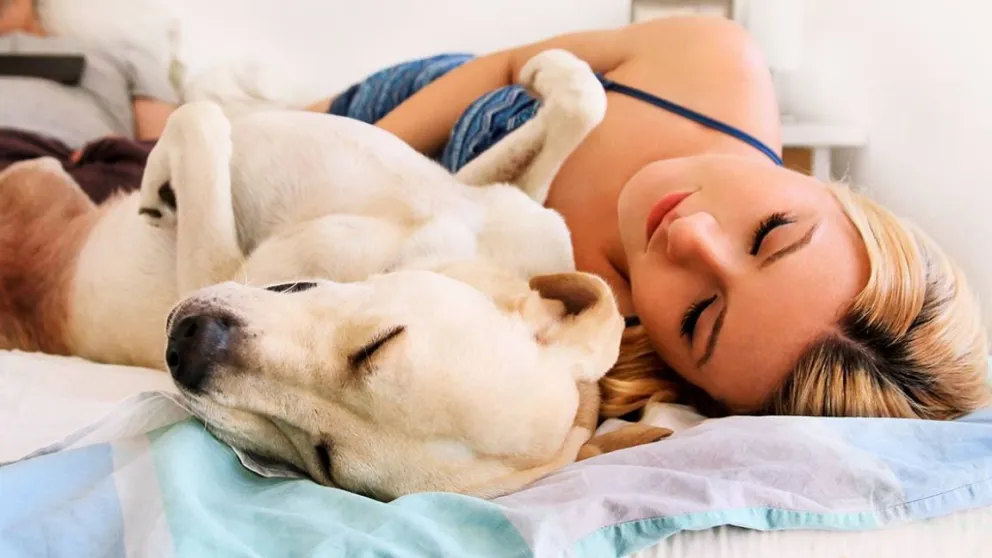 Estos son los pros y los contras de dormir con tus mascotas