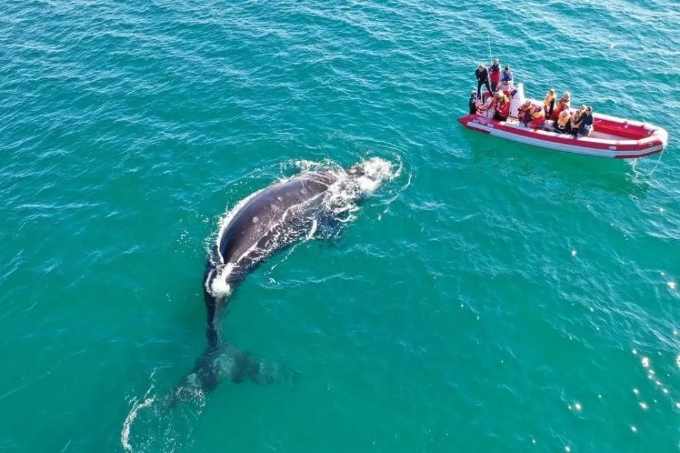 Todas las propuestas para disfrutar de la Costa Atlántica de Río Negro