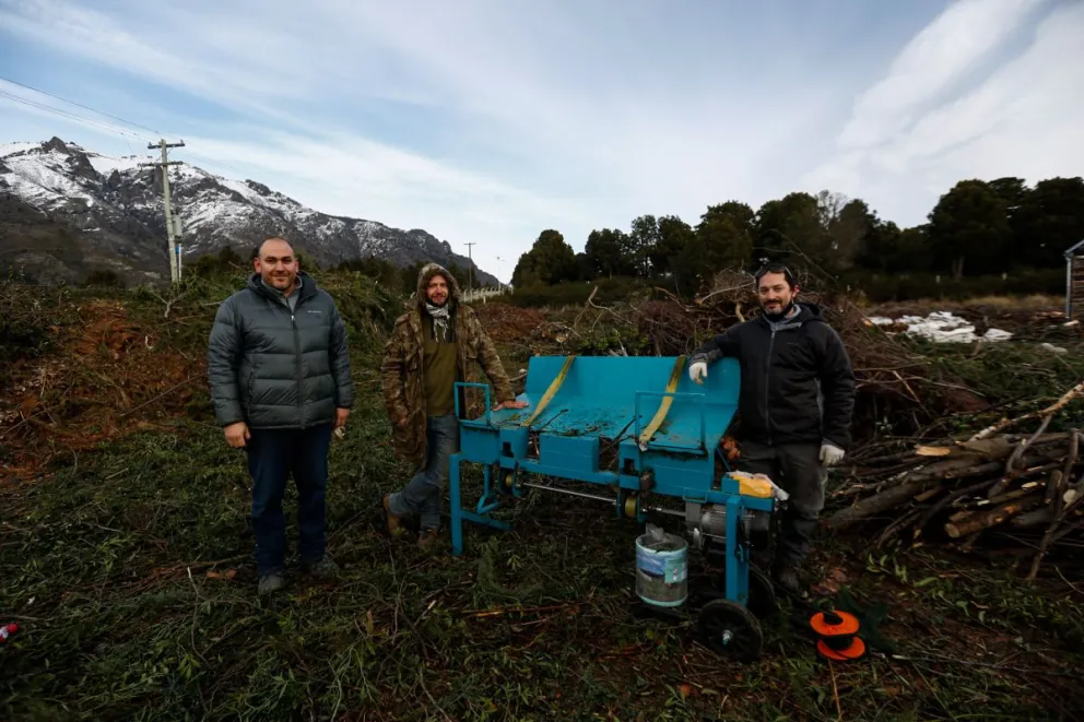 Encuentran una alternativa para mejorar la gestión de residuos forestales