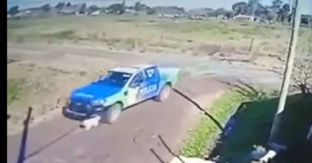 Un horror: policías atropellaron intencionalmente a un perro y lo mataron