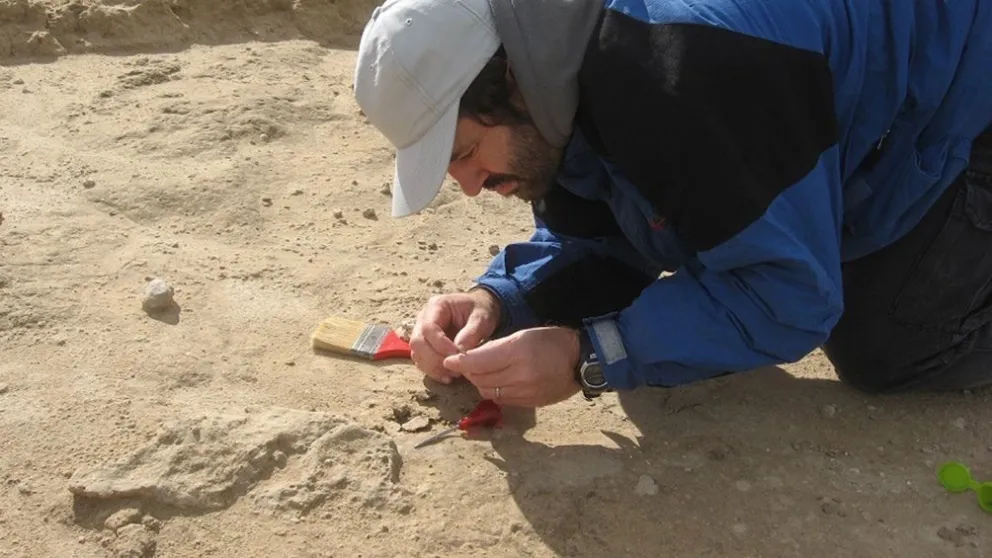 Increíble hallazgo: Encuentran el fósil de un vampiro gigante en una cueva 
