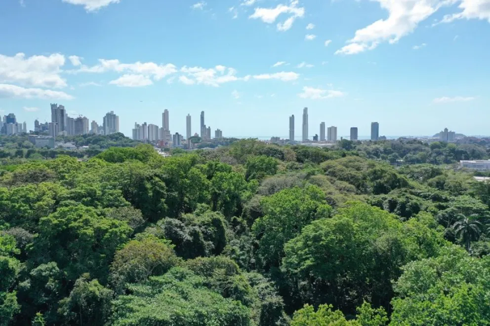 La directora del Parque Natural de Panamá habla de la problemática de los asentamientos