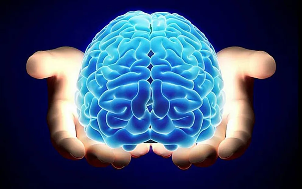  Día Mundial del Cerebro: 10 datos sorprendentes sobre el cerebro y la mente